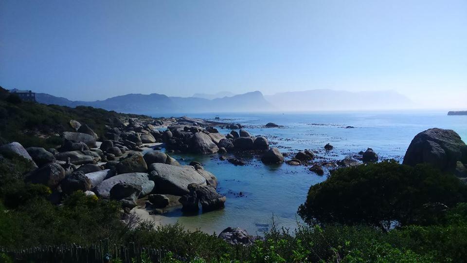 Bosky Dell on Boulders Beach - image 4