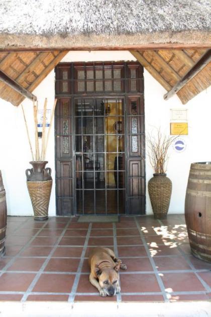The Vinelands on Alpha Guest House - image 12