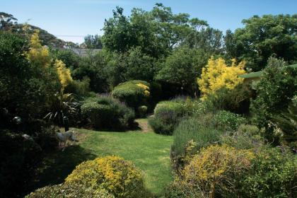 Villa Pascal Guest House - image 22