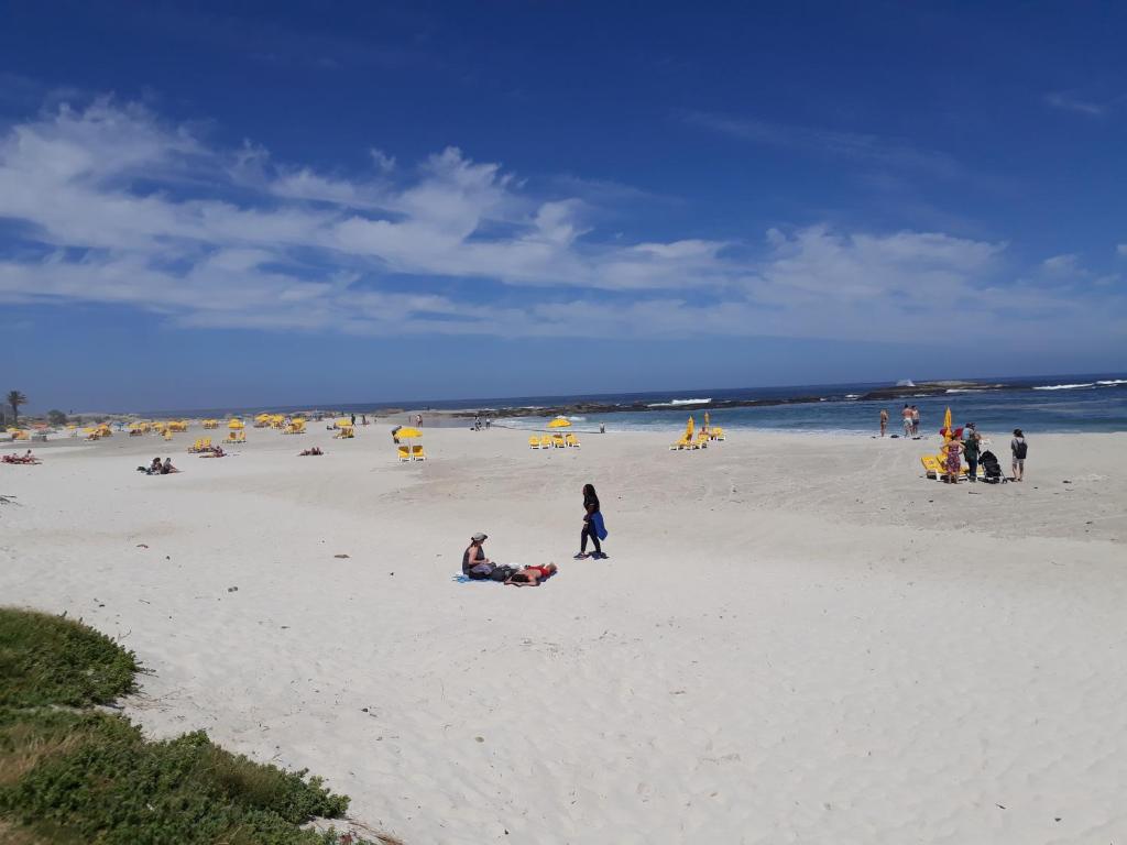 Camps Bay Apartment - image 2
