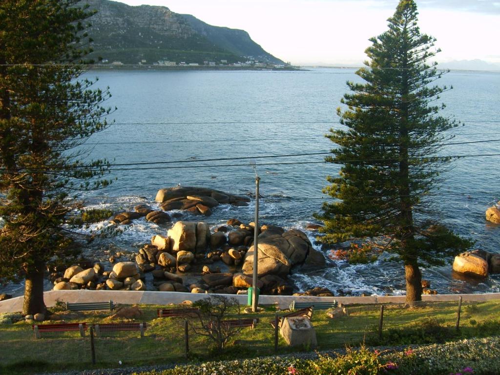 Nautilus Lodge - image 2