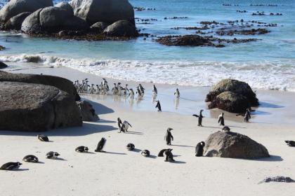 Boulders Beach House - image 8
