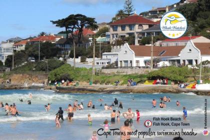 Studio Apartment Fish Hoek - image 16