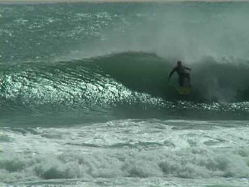 Aloha  - image 3