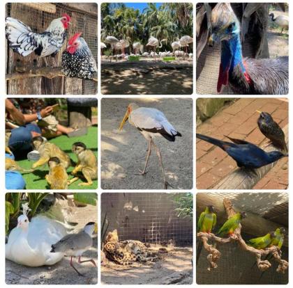 Holiday Apartment and Work Remotely 2min from the Beach Hout Bay - image 25