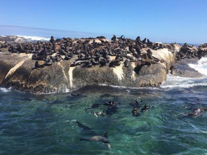 Holiday Apartment and Work Remotely 2min from the Beach Hout Bay - image 27