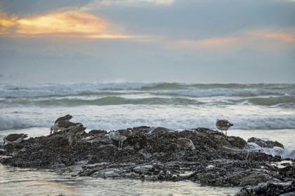 Van Riebeeck 12 by HostAgents - image 23