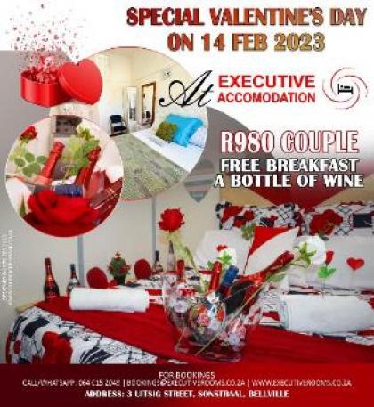 Executive Accommodation Bellville - image 21