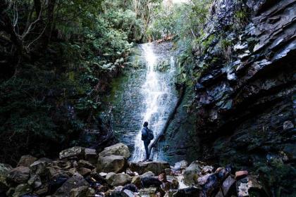 Future Found Sanctuary by NEWMARK - image 28