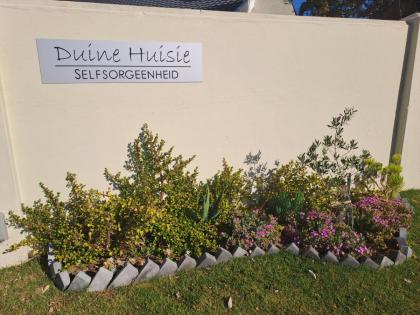 @The Duinehuisie - image 14