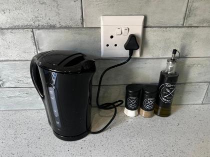 the Vine - image 21