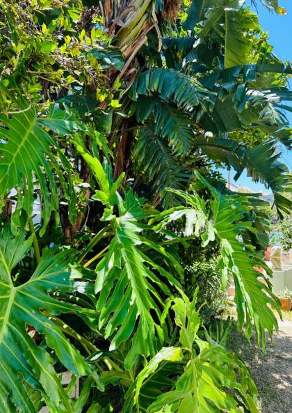 LOLOHO LODGE - 24h power - image 24