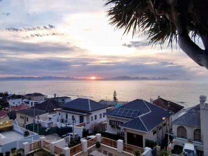 The Dragon Tree Guesthouse - image 26