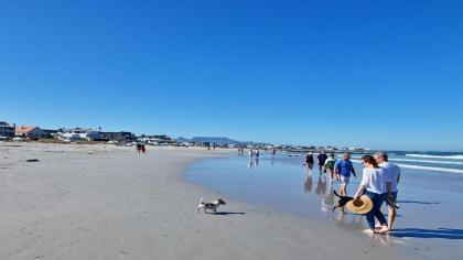 Sun Kiss Beach Cottage - image 2